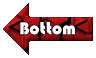 Bottom