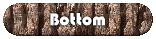 Bottom