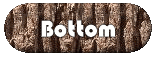 Bottom