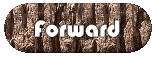 Forward