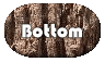 Bottom