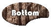 Bottom