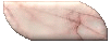 FlamingText.com