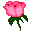 RoseBud.gif